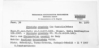 Blumeria graminis image